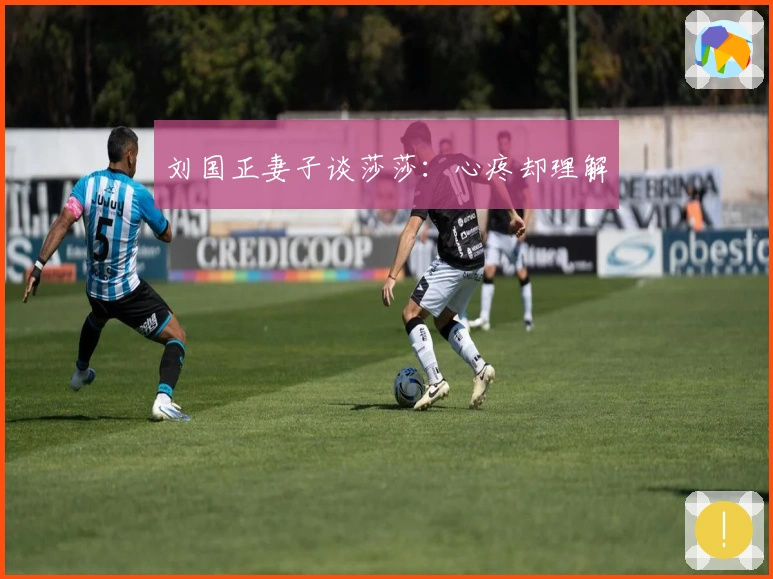 刘国正妻子谈莎莎：心疼却理解